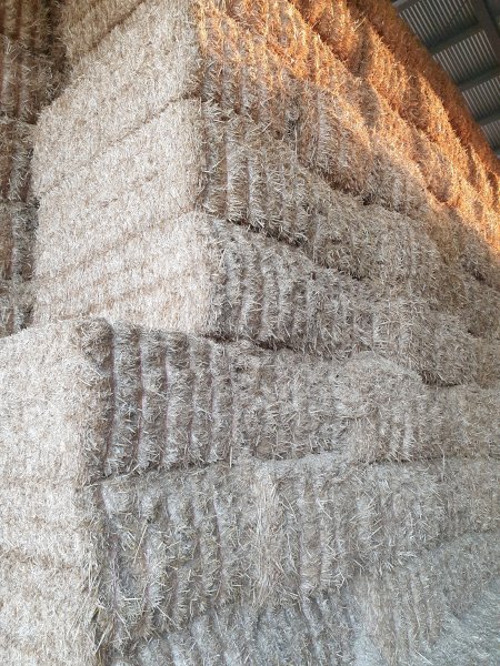 2022 Wheat straw header trailings