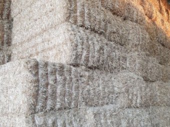 2022 Wheat straw header trailings