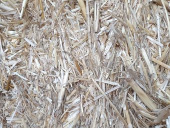 2022 Wheat straw header trailings