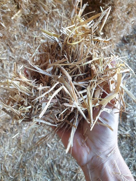 2022 Oat straw header trailings