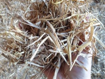 2022 Oat straw header trailings