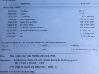 40 X Bales Vetch Hay 8X4X3 Large Squares