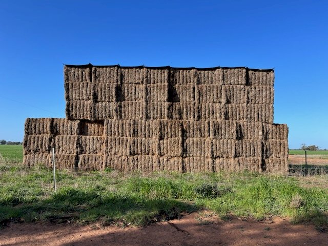 50 X Bales Vetch Hay 8X4X3 Large Squares