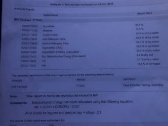 50 X Bales Vetch Hay 8X4X3 Large Squares