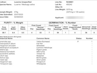Lucerne seed seconds, cleaned & tested