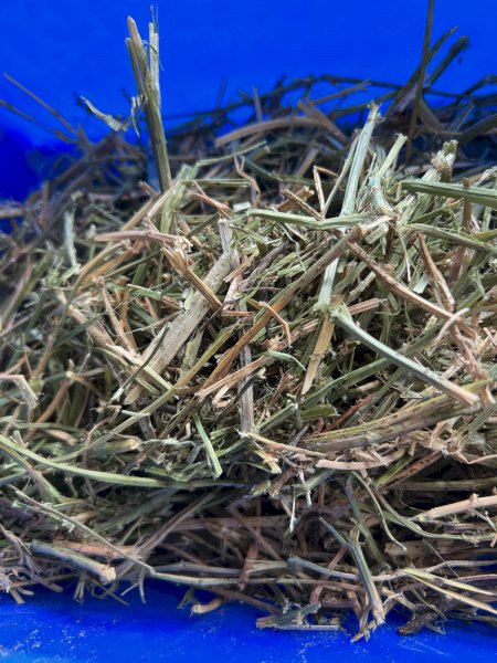 2nd & 3rd Cut Lucerne Hay
