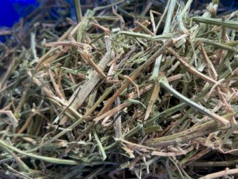 2nd & 3rd Cut Lucerne Hay