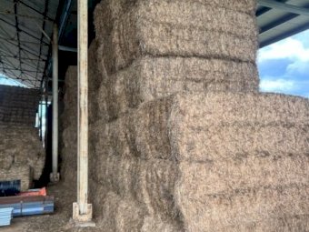 2nd & 3rd Cut Lucerne Hay