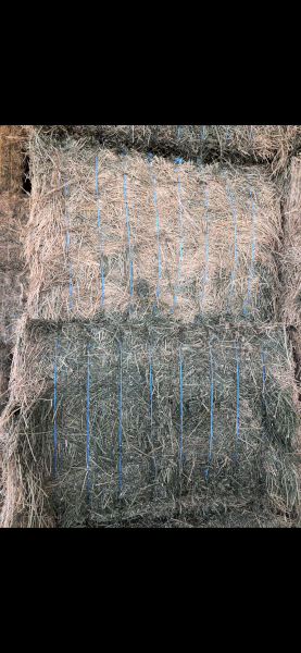 33 mt 2nd Cut Lucerne Hay