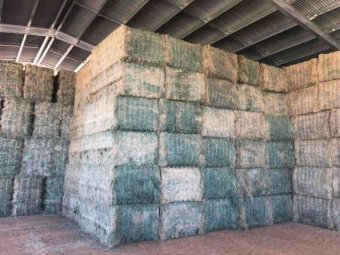 33 mt 2nd Cut Lucerne Hay