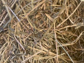 2021 Ryegrass and Clover Hay