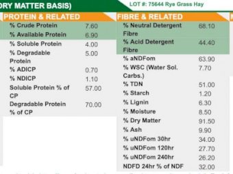 Ryegrass Phalaris and Clover 5x4 Rolls