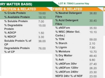 33 mt 2nd Cut Lucerne Hay