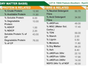 2021 Ryegrass and Clover Hay