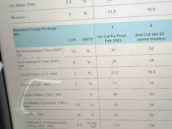 2nd & 3rd Cut Lucerne Hay