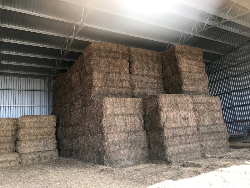 135mt Vetch Hay 600-640kg 8x4x3 Bales | Farm Tender