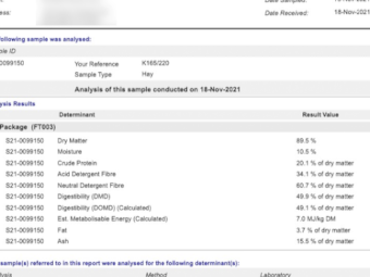 135mt Vetch Hay 600-640kg 8x4x3 Bales