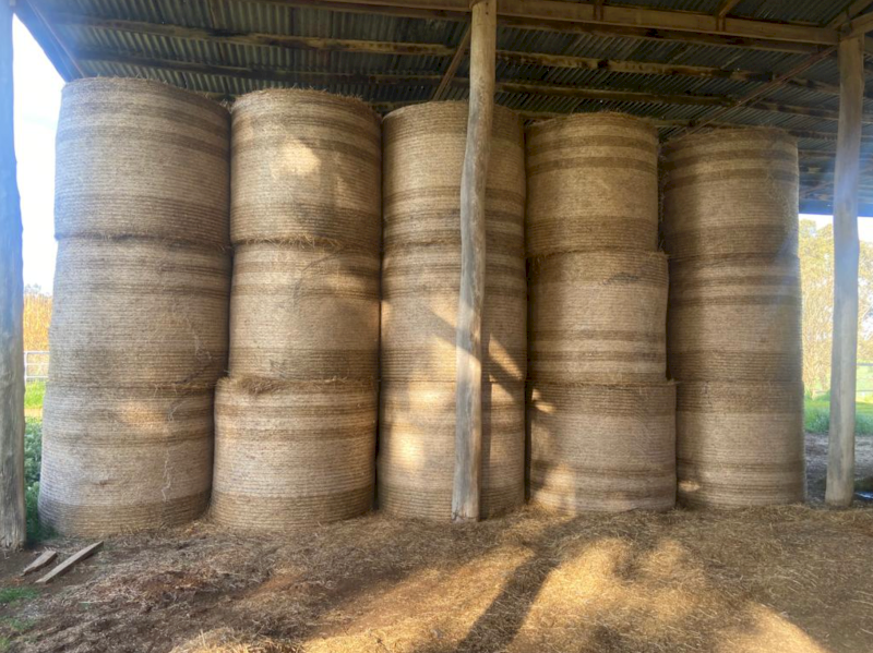 62 x Lucerne Rye 5x4 Round Bales