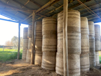62 x Lucerne Rye 5x4 Round Bales