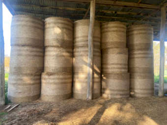 62 x Lucerne Rye 5x4 Round Bales