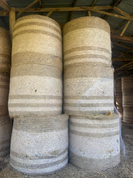 68 x Lucerne Hay 5x4 Rolls