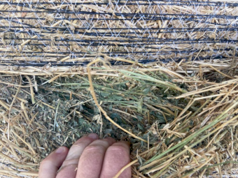 68 x Lucerne Hay 5x4 Rolls