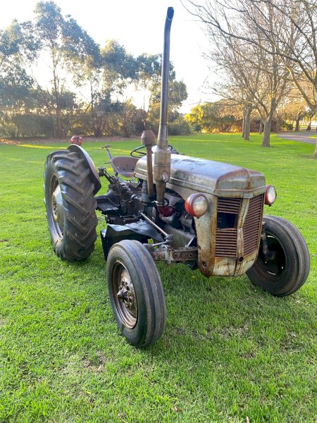 Grey Ferguson TEF Tractor