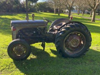 Grey Ferguson TEF Tractor