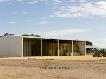 800 Bales of  Pasture Hay
