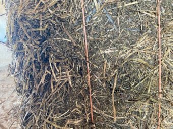 500mt Vetch Hay 660kg 8x4x3 Bales