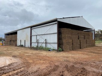 500mt Vetch Hay 660kg 8x4x3 Bales