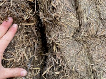 500mt Vetch Hay 660kg 8x4x3 Bales