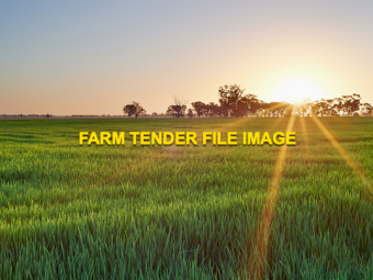 WANTED Laid out Rice Irrigation Country