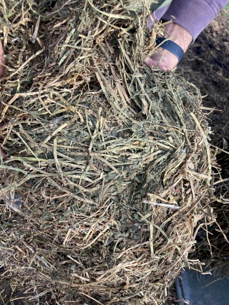 150 m/t Vetch Hay 8x4x3 Bales