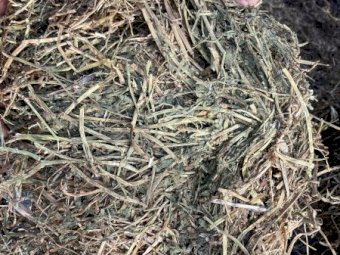 150 m/t Vetch Hay 8x4x3 Bales