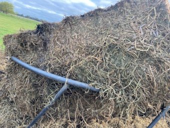 150 m/t Vetch Hay 8x4x3 Bales