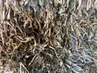 250 m/t Vetch Hay 8x4x3 Bales