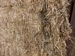 250 m/t Vetch Hay 8x4x3 Bales