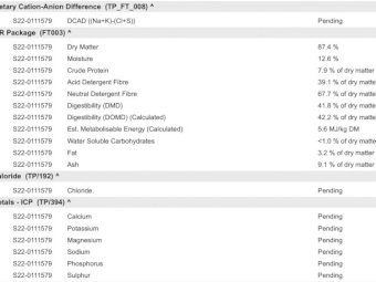 250 m/t Vetch Hay 8x4x3 Bales