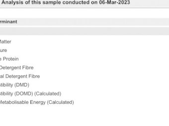 125 m/t Shedded Vetch Hay