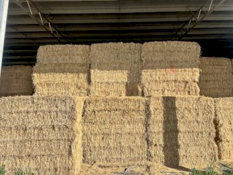 125m/t Oaten Vetch Hay