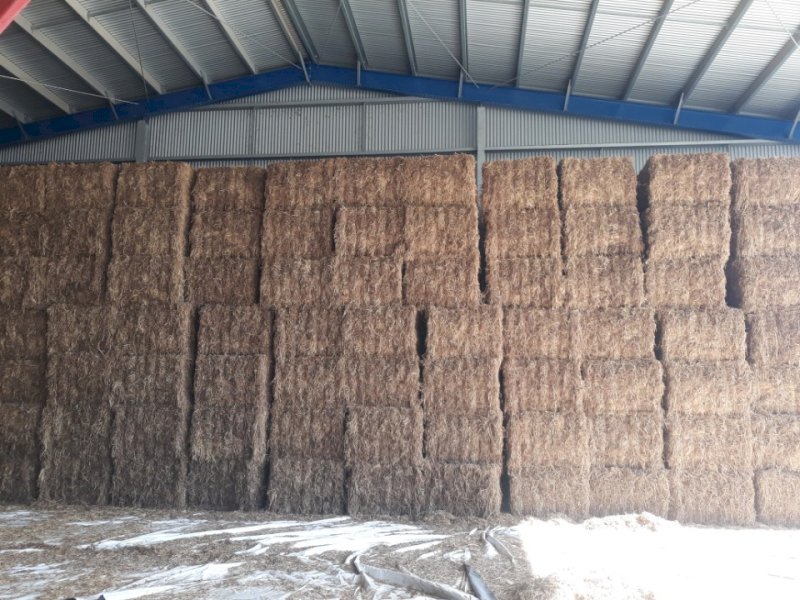 Vetch/Awnless Wheat Mix Hay | Farm Tender