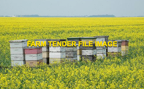 EOI 150 x Bee Hive Boxes Needing Canola Farm