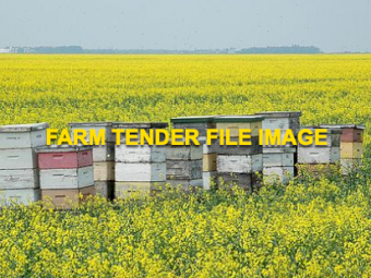 EOI 150 x Bee Hive Boxes Needing Canola Farm