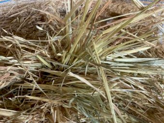 120 x Oaten Hay 5x4 Round Bales