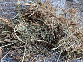 120 x Vetch & Clover Hay 5x4 Round Bales