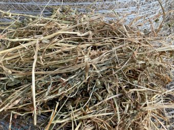 120 x Vetch & Clover Hay 5x4 Round Bales
