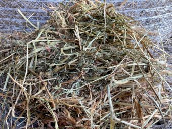 120 x Vetch & Clover Hay 5x4 Round Bales