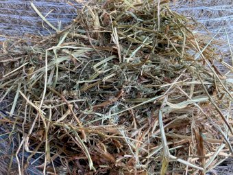 120 x Vetch & Clover Hay 5x4 Round Bales