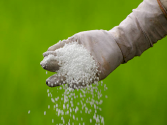 Urea Ex Brisbane